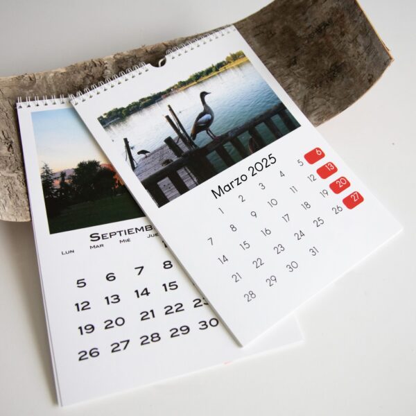 Calendario de Pared A4 14 Hojas