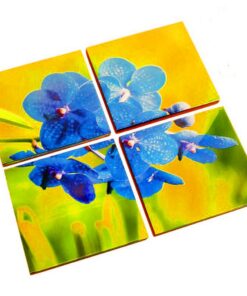 Azulejo decorativo