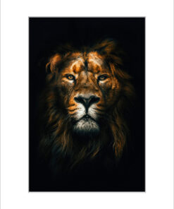 Lámina Modelo León 3 LaminaLeon scaled